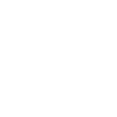 icon-10x