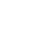 icon-strength