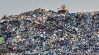 landfill