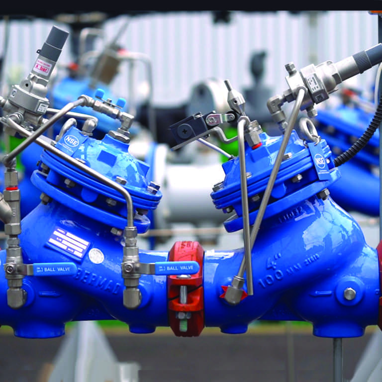 Victaulic Series 968F Strainer Strainers Hydraulic Control Flow Control