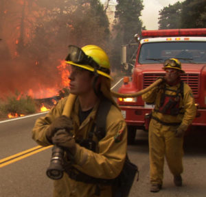 Cal Fire - forestry and fire protection 