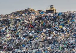 landfill
